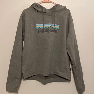 Patagonia Large Gray Hoodie
